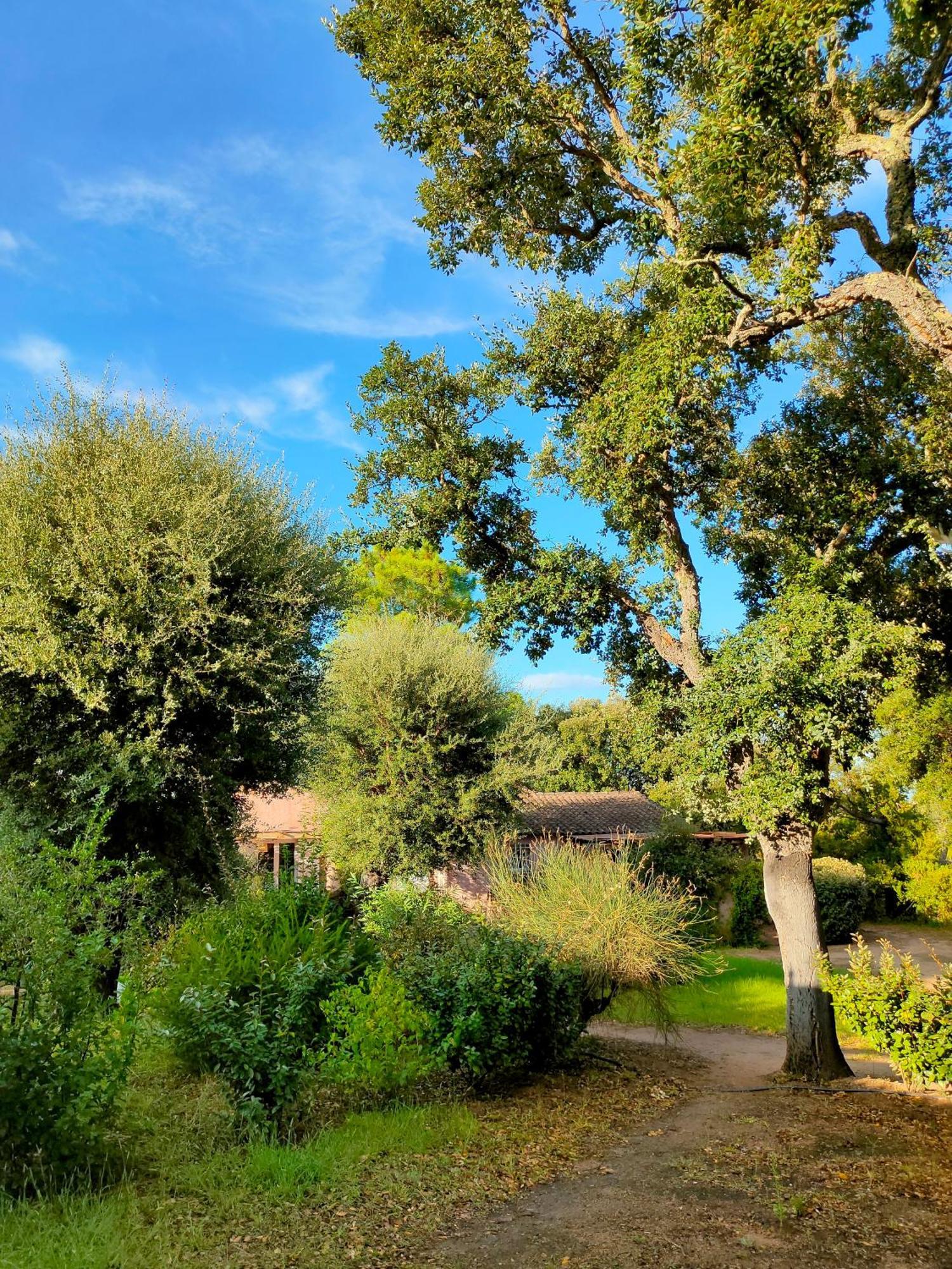 Résidence Les Cigales 3*